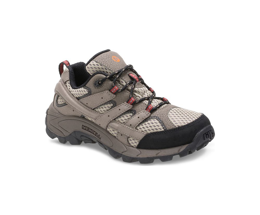 Merrell Vandresko Børn - Moab 2 Lav Lace - Brune - ZYI186534